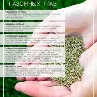 Газонная травосмесь &laquo;Игровая&raquo;, 1 кг