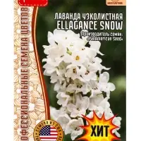 Семена цветов Лаванда Ellagance Snow узколистная  5шт.  12.29 г.