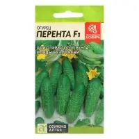 Семена Огурец "Перента", F1, Сем. Алт, ц/п, 0,3 г Семена Огурец "Перента", F1, Сем. Алт, ц/п, 0,3 г