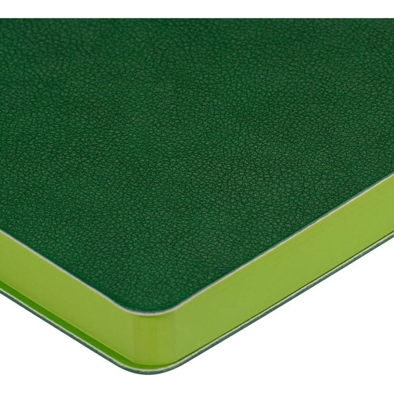 Ежедневник недатированный А5 BOSTON(ЗЕЛЕНЫЙ) 3-228/07