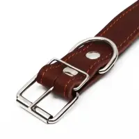 Ошейник кожаный на синтепоне, безразмерный, 71&times;3.5 см, ОШ 29-62 см, коричневый