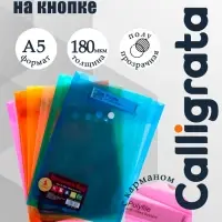 Папка-конверт на кнопке, А5, 180 мкм, вертикальная, рифлёная, с кармашком, МИКС