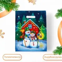 Пакет «Снежная пара», полиэтиленовый с вырубной ручкой, 31×40 см