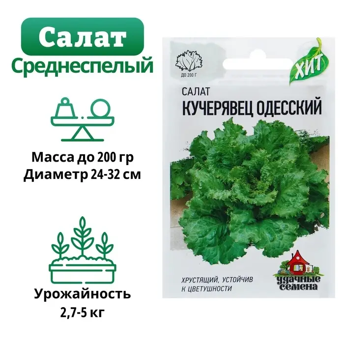 Семена Салат Семена Салат "Кучерявец Одесский" хрустящий, ц/п, 0,5 г серия ХИТ х3