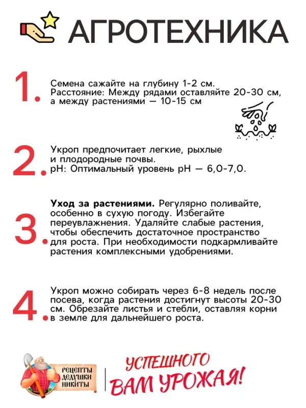 Семена Укроп "Грибовский", 2 г