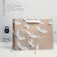 Пакет подарочный крафтовый, упаковка, «Special for you», MS 23 х 18 х 10 см