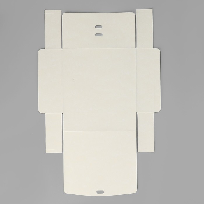 Коробка подарочная новогодняя складная «Новогодняя ботаника», 20 х 18 х 5 см, Новый год Коробка подарочная новогодняя складная «Новогодняя ботаника», 20 х 18 х 5 см, Новый год