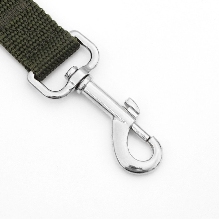 Поводок 7 м х 2,5 см, зеленый Поводок 7 м х 2,5 см, зеленый