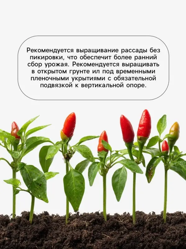 Семена Перец, &laquo;Каптур&raquo;, F1, 5 шт., Seminis, &laquo;Агрос&raquo;