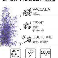 Семена цветов Лобелия &laquo;Император Вильям&raquo;, 1000 шт., &laquo;Дом семян&raquo;