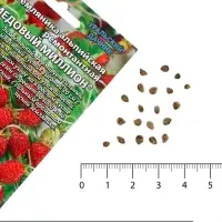 Семена Земляника &laquo;Медовый миллион&raquo;, 0.5 г, альпийская, ремонтантная, &laquo;Уральский дачник&raquo;