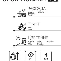 Семена цветов Пеларгония зональная &laquo;Стелла&raquo;, F1, 4 шт.