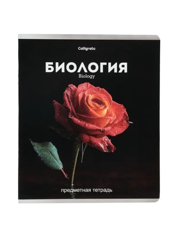 Тетради предметные 12 шт. &laquo;Черная серия&raquo;, 48 листов, со справочной информацией