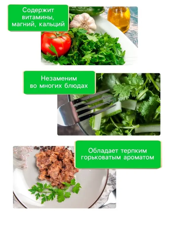 Семена Кориандр  Семена Кориандр "Бородинский", 5 г