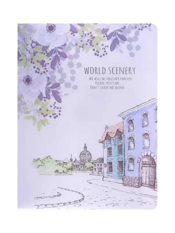 Папка А4, &laquo;Города&raquo; 30 прозрачных файлов, пластик, 400 мкм, МИКС