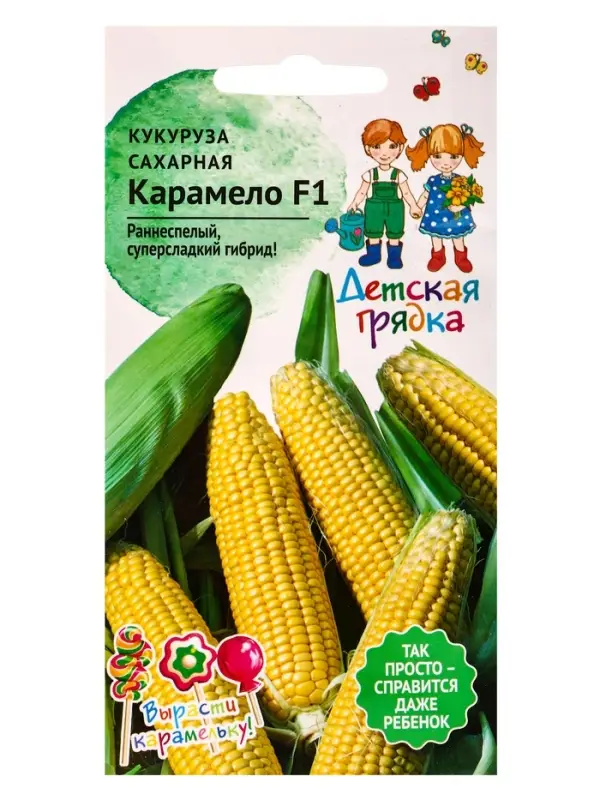 Семена Кукуруза &laquo;Карамело&raquo;, 5 шт., серия &laquo;Детская грядка&raquo;, &laquo;Агросидстрейд&raquo;