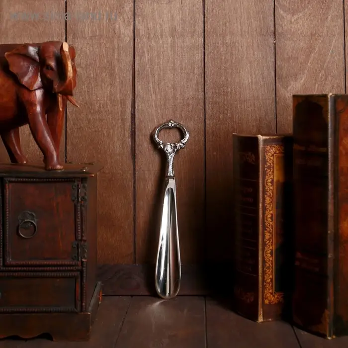 Ложка для обуви  Ложка для обуви "Кольцо" алюминий 25х5х1 см