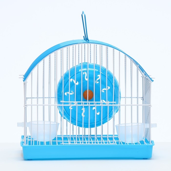Клетка для грызунов укомплектованная RT-2c, 23 х 16,5 х 20 см, голубая Клетка для грызунов укомплектованная RT-2c, 23 х 16,5 х 20 см, голубая