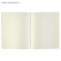 Предметная тетрадь по физике Calligrata &laquo;Чёрное-белое&raquo;, 48 листов, в клетку, со справочным материалом, бумажная обложка