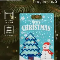 Пакет подарочный новогодний, &laquo;С новым годом!&raquo;, с zip-lock застежкой, 20&times;30+4.5 см