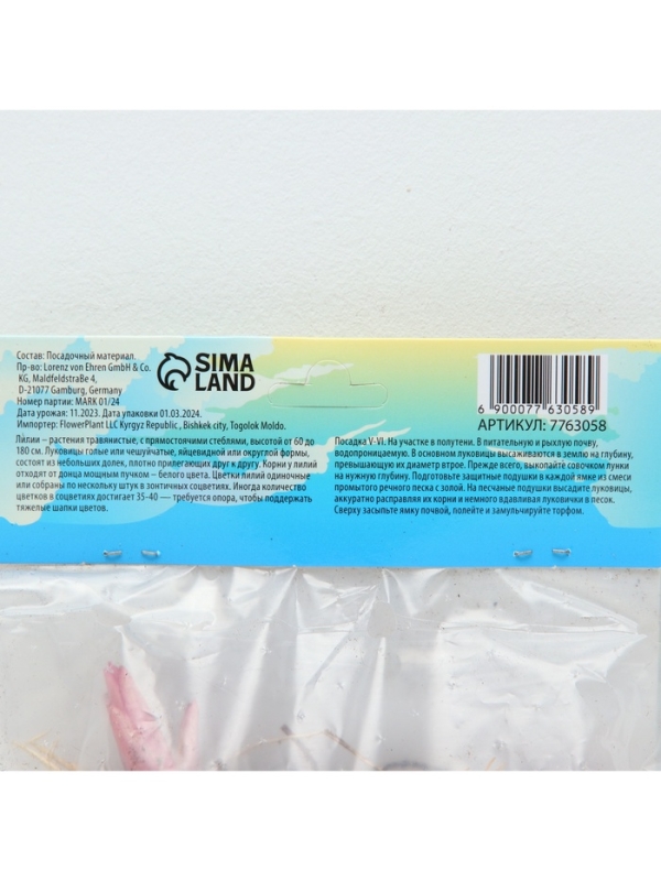 Лилия «Ориентал Диззи», луковица в пакете с перфорацией, р-р 14/16, 2 шт.