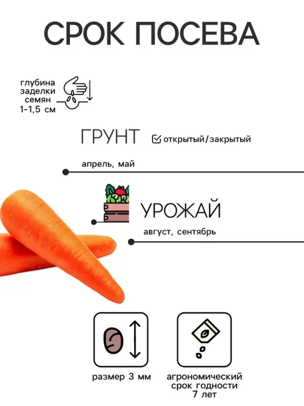 Семена на ленте Морковь &laquo;Дордонь&raquo;, F1, 6 м, &laquo;Престиж семена&raquo;