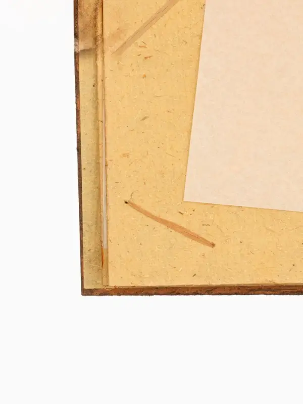 Фотоальбом &laquo;Ящерица&raquo;, 10 листов, 23&times;27&times;2 см, коричневый