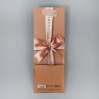 Пакет подарочный под бутылку, упаковка, «Present for you», 9 х 25 х 8.5 см