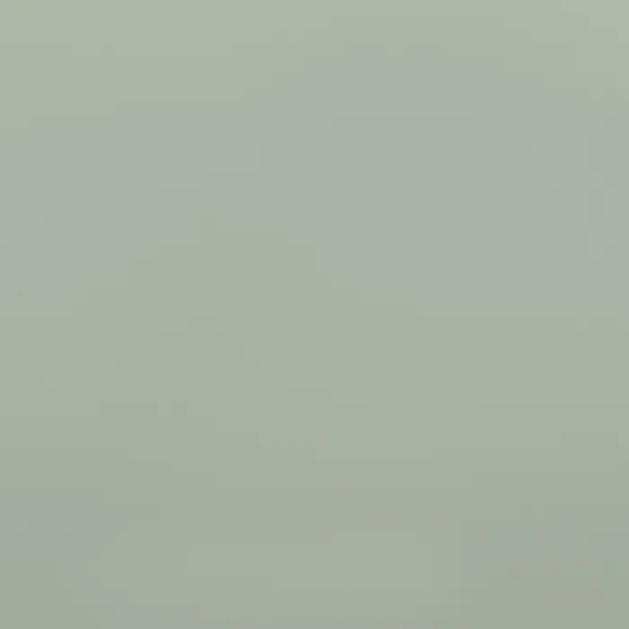 Пленка для цветов, матовая, матча, 55 мкм, 57x57см ±5% см Пленка для цветов, матовая, матча, 55 мкм, 57x57см ±5% см