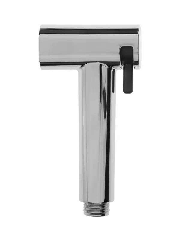 Гигиеническая лейка Accoona AF30501