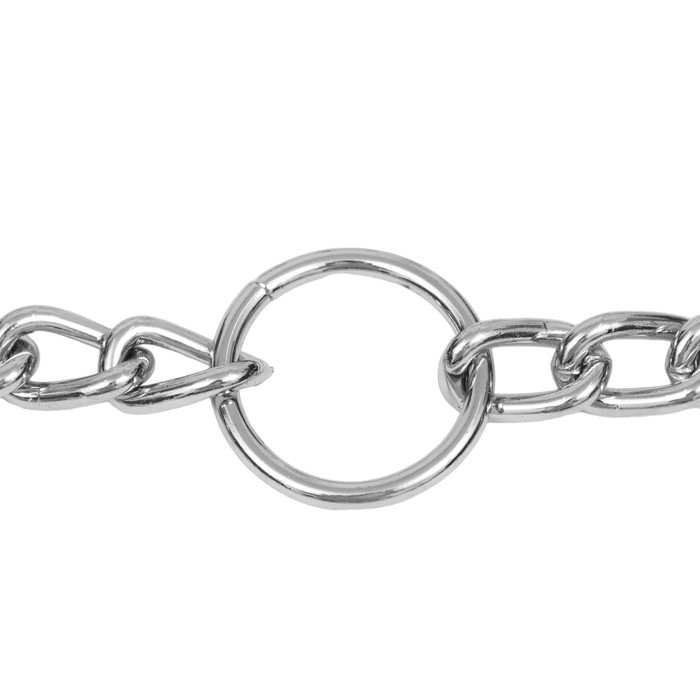 Ошейник - полуудавка строгий с защитными колпачками, 45 см х 2,5 мм Ошейник - полуудавка строгий с защитными колпачками, 45 см х 2,5 мм