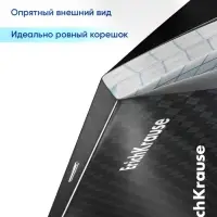 Комплект тетрадей 48 листов в клетку/линейку ErichKrause Black Diamond, 10 штук