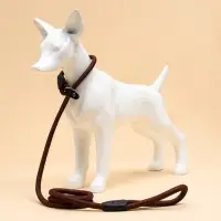 Ринговка для собак, 130&times;1 см, коричневая