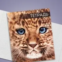 Тетрадь 48 листов в клетку, Calligrata «Дикие кошки», обложка мелованная бумага, МИКС Тетрадь 48 листов в клетку, Calligrata «Дикие кошки», обложка мелованная бумага, МИКС