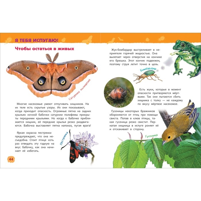 Энциклопедия для детского сада «Насекомые» Энциклопедия для детского сада «Насекомые»