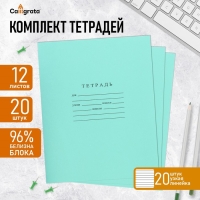 Комплект тетрадей из 20 штук, 12 листов в узкую линию Бумажная фабрика "Зелёная обложка", 60 г/м2, блок офсет, белизна 96%