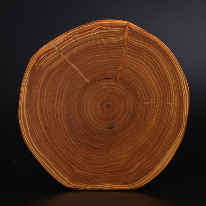 Доска разделочная из спила Wild Kitchen, d=160-200 мм, толщина 30 мм, цельный массив кедра Доска разделочная из спила Wild Kitchen, d=160-200 мм, толщина 30 мм, цельный массив кедра