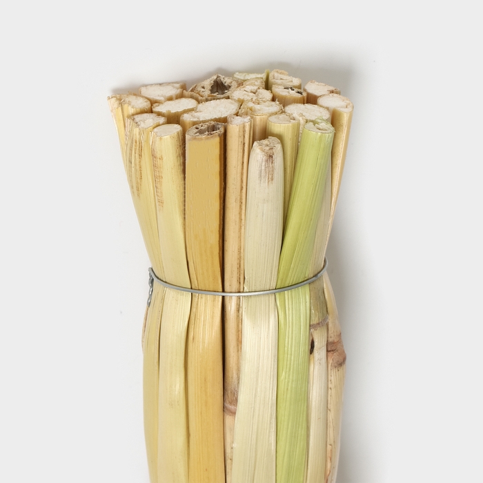 Веник пятилучевой «Сорго», 300 г, 85 см Веник пятилучевой «Сорго», 300 г, 85 см