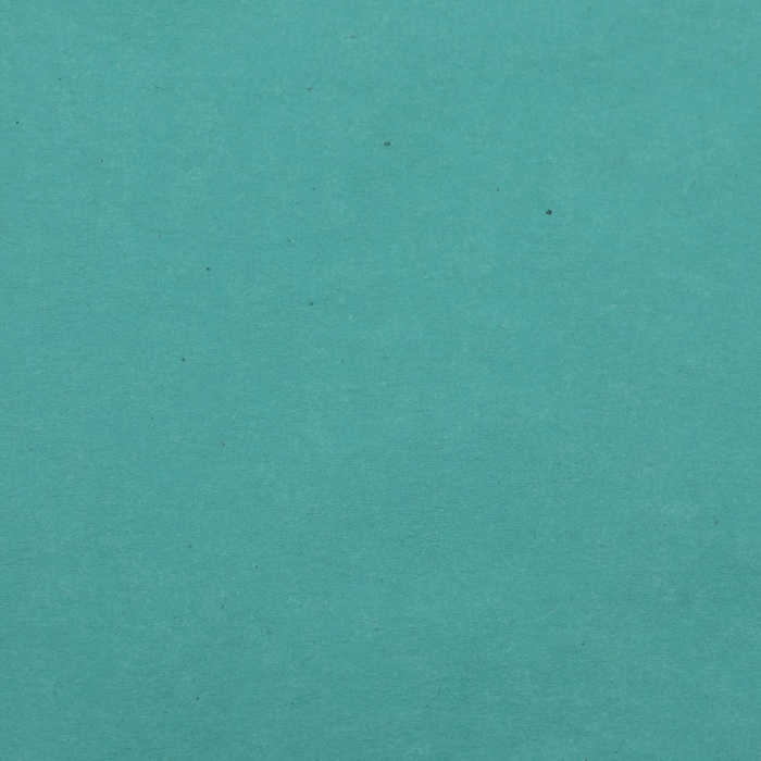 Пергамент флористический  Пергамент флористический "Тиффани", 0,6 х 10 м, 52 г/м2