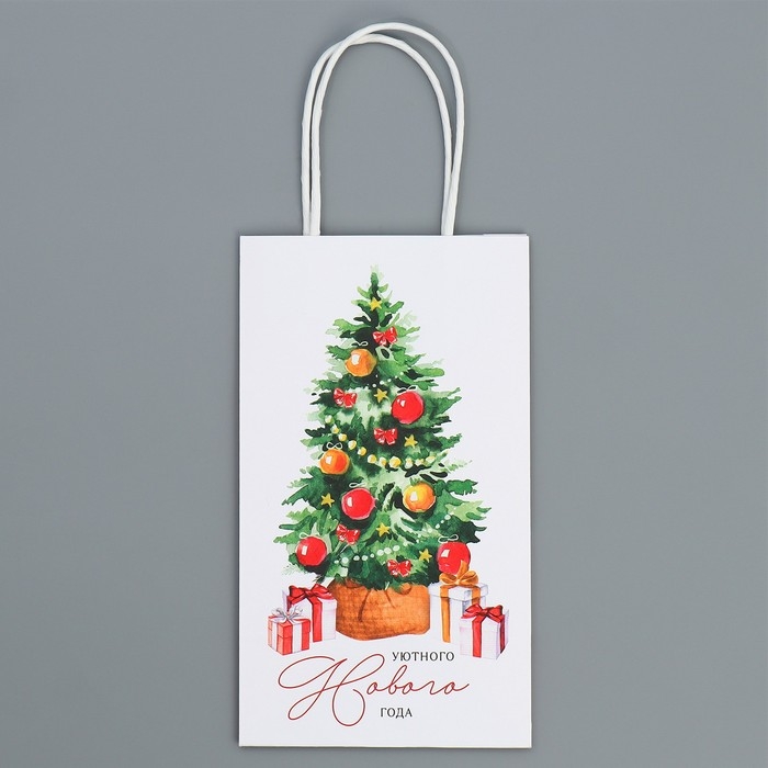 Пакет подарочный новогодний крафтовый «Уют в доме», 12 х 21 х 9 см, Новый год Пакет подарочный новогодний крафтовый «Уют в доме», 12 х 21 х 9 см, Новый год