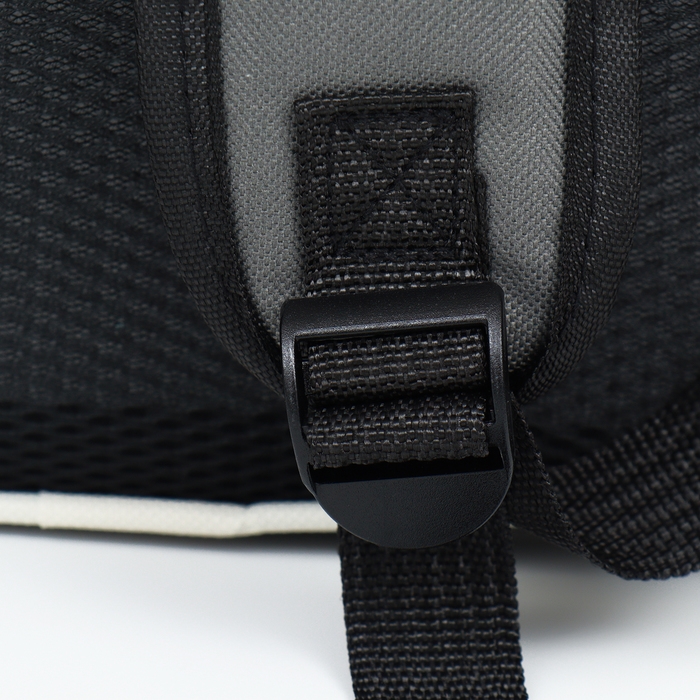 Рюкзак-переноска для кошек и собак, 39 х 40 х 25 см, серый Рюкзак-переноска для кошек и собак, 39 х 40 х 25 см, серый