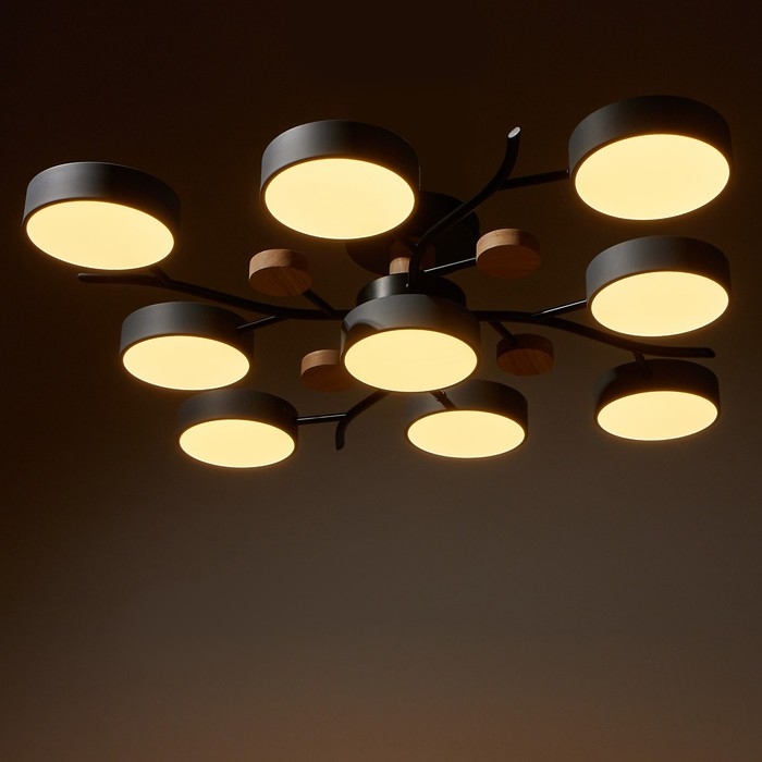 Люстра 1316/9GR LED 216Вт 3000-6000К серый 87х87х17 см BayerLux