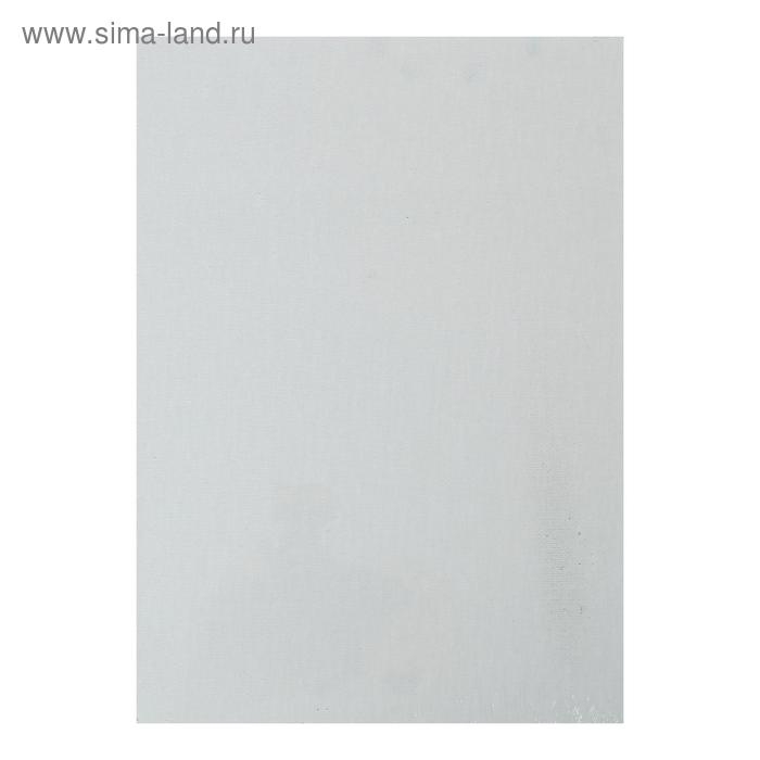 Холст на картоне 18 х 24 см, хлопок 100%, акриловый грунт, мелкозернистый, «Студия» Холст на картоне 18 х 24 см, хлопок 100%, акриловый грунт, мелкозернистый, «Студия»