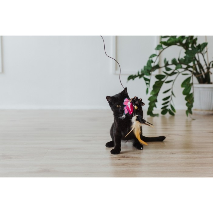 Дразнилка  Дразнилка "Бабочка" с перьями, микс цветов