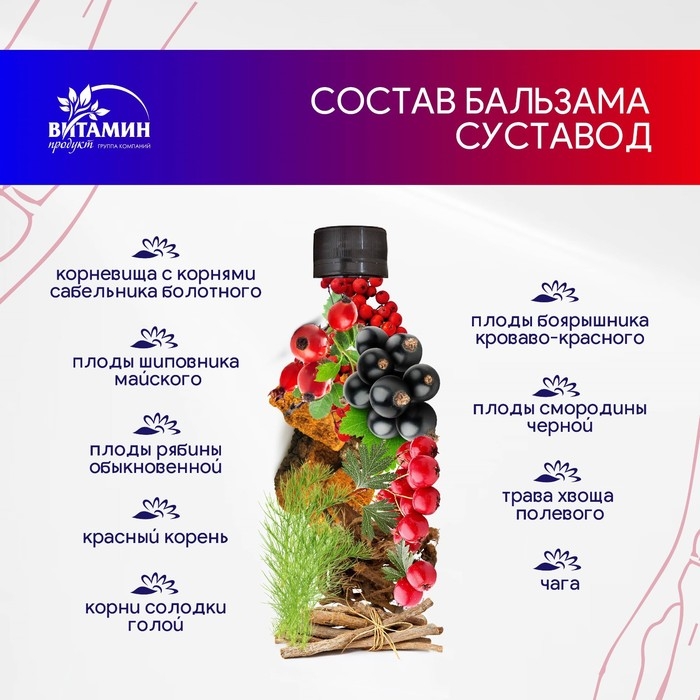 Бальзам Алтайские травы Суставод, 250 мл. Бальзам Алтайские травы Суставод, 250 мл.