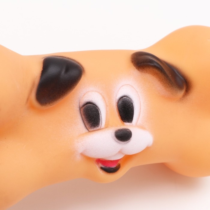 Игрушка пищащая  Игрушка пищащая "Веселая косточка" для собак, 16 см