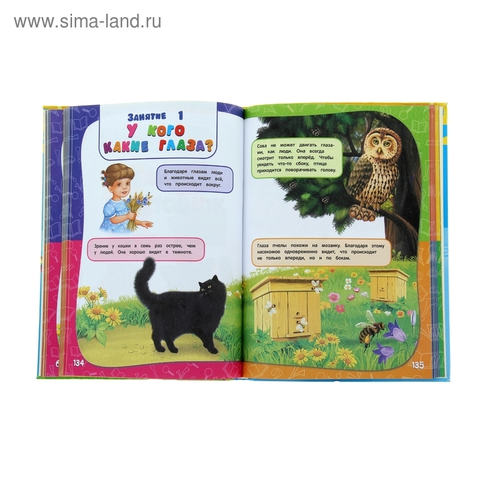 Годовой курс занятий: для детей 3-4 лет, с наклейками. Далидович А., Лазарь Е., Мазаник Т. Годовой курс занятий: для детей 3-4 лет, с наклейками. Далидович А., Лазарь Е., Мазаник Т.
