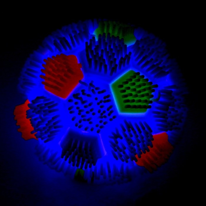 Ёжка «Мячик» световой, цвета МИКС Ёжка «Мячик» световой, цвета МИКС