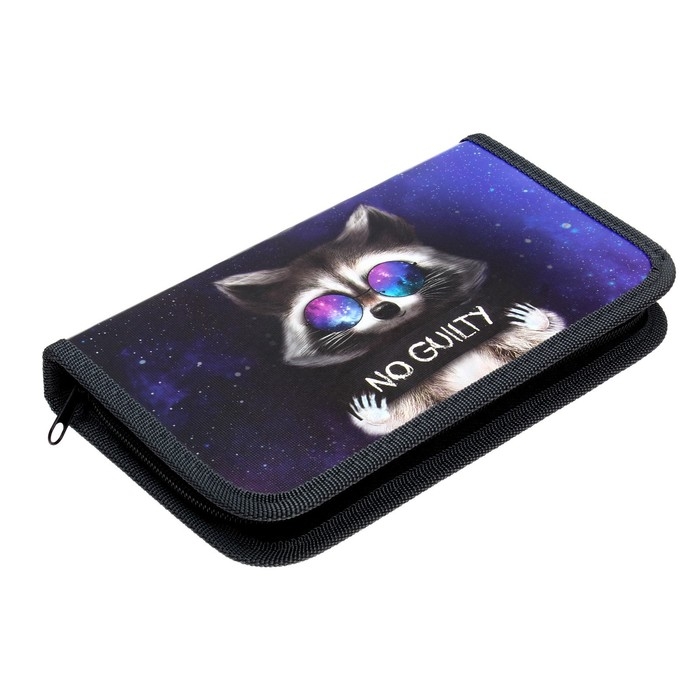 Пенал 1 секция, 115 х 205 мм, с наполнением 16 предметов, Calligrata Пенал 1 секция, 115 х 205 мм, с наполнением 16 предметов, Calligrata "Енот" ламинированный картон, 30П26/set