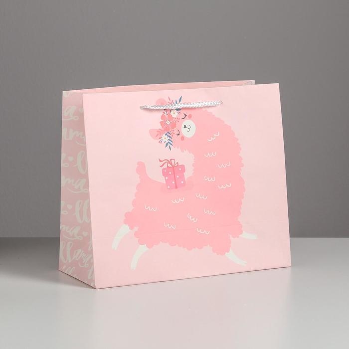 Пакет подарочный, упаковка, &laquo;Lama&raquo;, 27 х 23 х 11,5 см